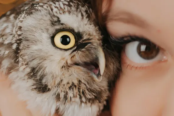 BoaBoa Kasino Sokongan